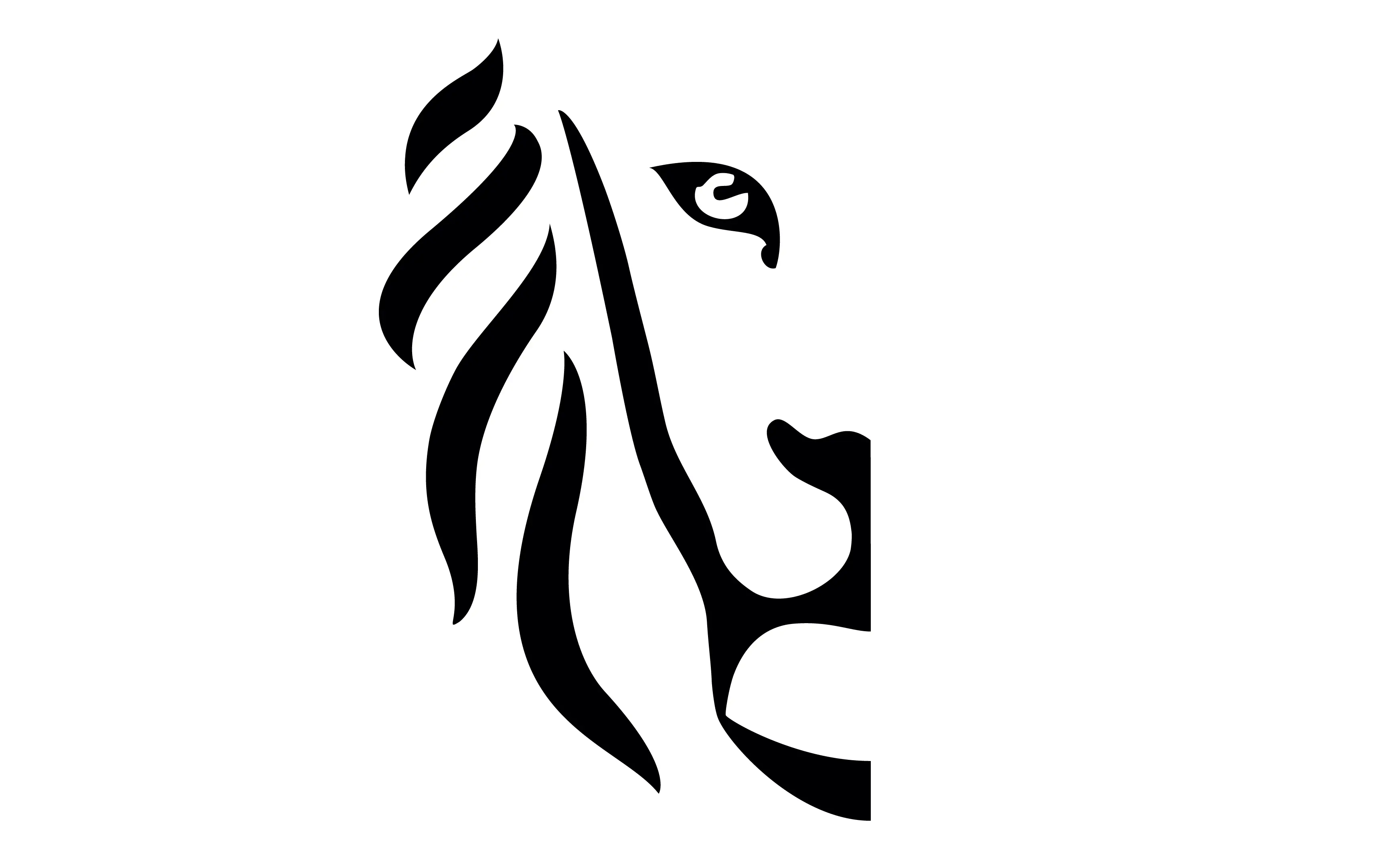 website-trevion-turteltaks