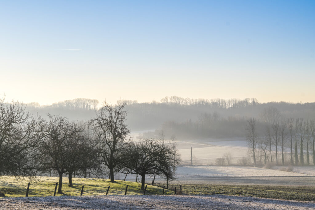 Burreken_4