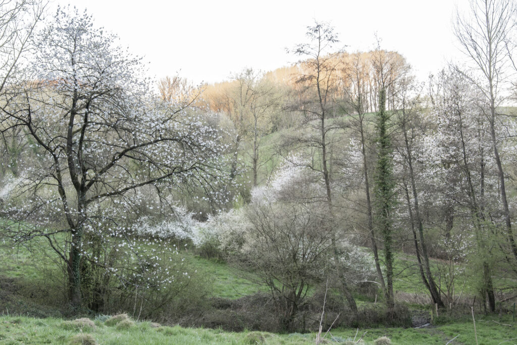 Burreken_5